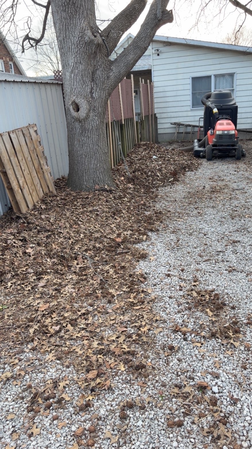 Spring Cleanup before