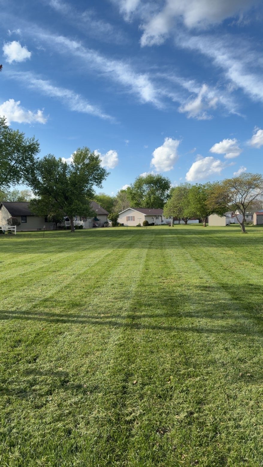 Bright striped yard